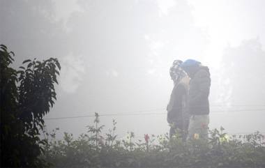 IMD Weather Update:৯ থেকে ১১  ফেব্রুয়ারি পর্যন্ত দেশের উত্তরাঞ্চলে বিক্ষিপ্ত হালকা বৃষ্টির পূর্বাভাস, বাংলায় ফের শীতের পূর্বাভাস জানাল আই এম ডি