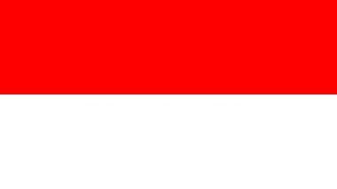 Indonesia: ইন্দোনেশিয়ার রাষ্ট্রপতি নির্বাচন নিয়ে কী বললেন প্রতিরক্ষামন্ত্রী