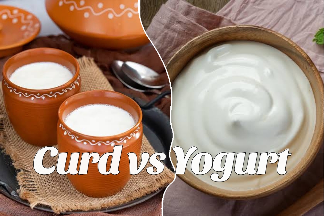 Curd vs Yogurt for health: দই এবং গ্রীক দই, জেনে নিন কোনটি স্বাস্থ্যের জন্য বেশি উপকারী