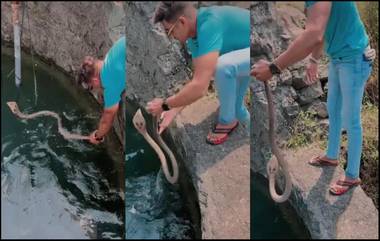 Man Rescues King Cobra: কুয়ো ভেতর শুয়ে কিং কোবরা, উদ্ধার করল সাহসী যুবক