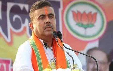 West Bengal BJP: ভোট কমছে হু হু করে, বাংলায় ঘুরে দাঁড়াতে কী কৌশল বিজেপির!