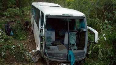 South Africa bus accident: দক্ষিণ আফ্রিকায় বাস দুর্ঘটনায় মৃত কমপক্ষে ৪৫ জন, আহত একজন ৮ বছরের শিশু