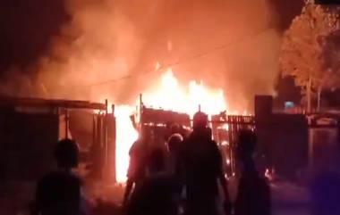 Assam Fire: নগাঁওয়ে ভয়াবহ অগ্নিকাণ্ড, বেশ কয়েকটি বাড়ি পুড়ে ছাই, দেখুন ভিডিও