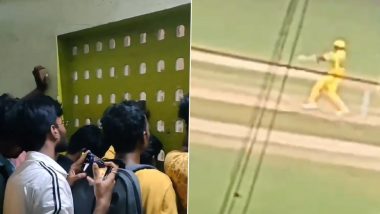 Fans Watching CSK Match From Railway Station: পাশ দিয়ে চলছে ট্রেন, রেলস্টেশনের ফাঁক দিয়ে চেন্নাই সুপার কিংসের ম্যাচ দেখতে ভক্তদের ভিড়! ভিডিও ভাইরাল (দেখুন ভিডিও)