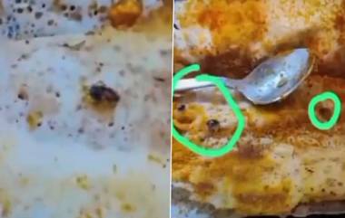 8 Cockroaches in Dosa: দিল্লি ক্যাফেতে ধোসায় ৮ আরশোলা, সোশ্যাল মিডিয়ায় ভিডিও শেয়ার করে জানালেন গ্রাহক (দেখুন ভিডিও)