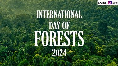 International Day of Forests 2024: কেন আন্তর্জাতিক বন দিবস পালন করা গুরুত্বপূর্ণ?  জেনে নিন এই দিনের ইতিহাস এবং দেশে বনের অবস্থা!