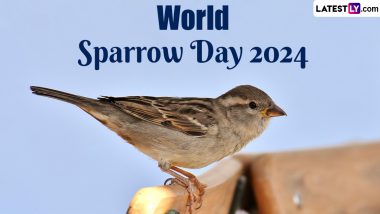 World Sparrow Day 2024: বিশ্ব চড়ুই দিবস কবে? জেনে নিন এই দিনের ইতিহাস ও গুরুত্ব...
