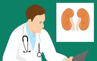 Kidney stone: আপনার কি পান খাওয়ার অভ্যাস আছে? সাবধান! পান মসলা খেলে হতে পারে কিডনিতে পাথর!