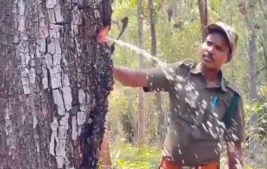 Tree Stores Water: গ্রীষ্মের জল সঞ্চয় করে রাখছে গাছ! দেখুন ভাইরাল ভিডিও