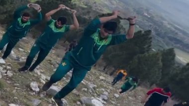 Pakistan Team Army Training: মাথায় পাথর তুলে পাহাড়ে উঠে পাক ক্রিকেট দলের সেনা শিবিরে সে কি প্রস্তুতি