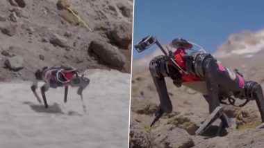 Dog Robot To Walk on Moon: এবার চাঁদে হাঁটবে রোবো-কুকুর, প্রস্তুতিতে নাসা; দেখুন ভিডিও