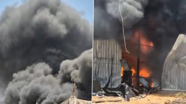 Andhra Pradesh Fire Video: অন্ধ্রপ্রদেশের গুদামে ভয়াবহ আগুন, দেখুন ভিডিও