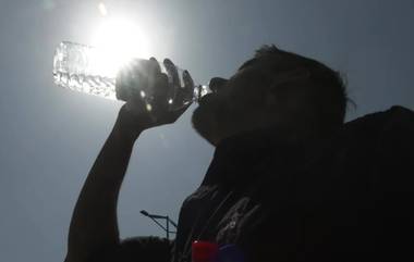 Delhi Heatwave: প্রচণ্ড গরম, তাপপ্রবাহে দিল্লিতে ১৯২ জন গৃহহীন মানুষের মৃত্যু, বলছে রিপোর্ট