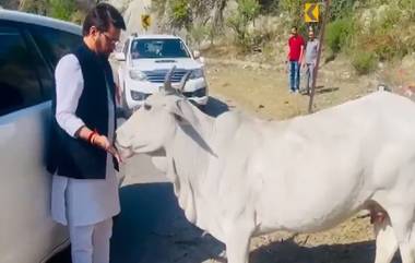 Anurag Thakur: গন্তব্যের পথে গাড়ি থামিয়ে গরুকে খাওয়ালেন কেন্দ্রীয়মন্ত্রী অনুরাগ ঠাকুর, দেখুন