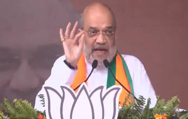 Amit Shah: চতুর্থ দফা শেষেই সংখ্য়াগরিষ্ঠতা পেয়ে গিয়েছে মোদী সরকার, বাকি তিনে হবে ৪০০ পার, বনগাঁর জনসভায় দাবি অমিত শাহর