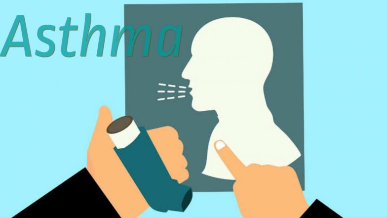 Asthma: গরমের সঙ্গে বাড়ছে হাঁপানির সমস্যা? জেনে নিন কিভাবে যত্ন নেবেন স্বাস্থ্যের...