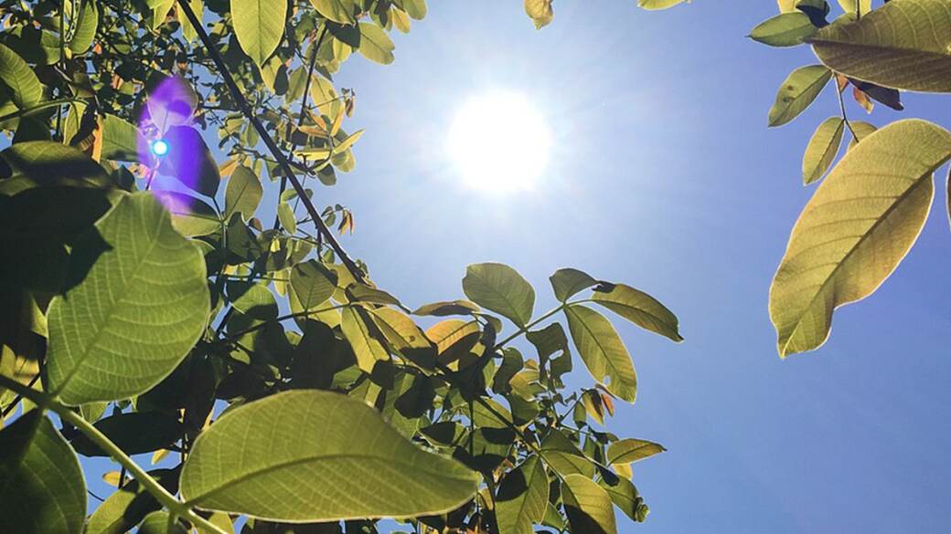 West Bengal Weather Forecast: গরমে পুড়ছে বাংলা, তীব্র তাপের জ্বালার মাঝে বৃষ্টির ইঙ্গিত, দেখুন আবহাওয়ার আপডেট