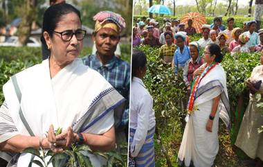 Loksabha Election 2024: চা বাগানে মুখ্যমন্ত্রী, কথা বললেন শ্রমিকদের সঙ্গে