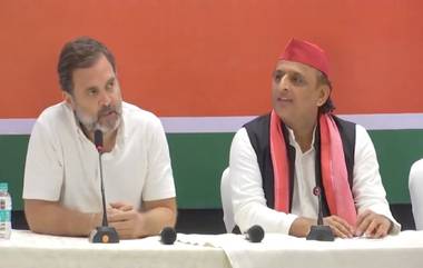 Akhilesh Yadav: বিজেপিকে ধরাশায়ী করে ইস্তফা বিধায়ক অখিলেশ যাদবের, ওয়ানাড় ছাড়ছেন রাহুল গান্ধী