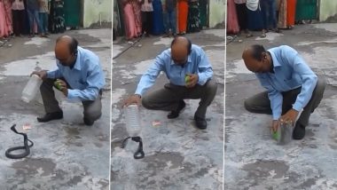 Viral Video: সাপ ধরার বিপজ্জনক ভিডিও ভাইরাল, দেখুন