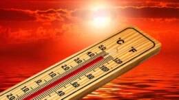 Heatwave In Pakistan: তীব্র গরম, তাপপ্রবাহে পুড়ছে পাকিস্তান, ৬ দিনে মৃত্যু ৫৬৮ জনের