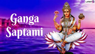 Ganga Saptami 2024: গঙ্গা দশেরা এবং গঙ্গা সপ্তমীর মধ্যে পার্থক্য কী? জেনে নিন গঙ্গা সপ্তমীতে গঙ্গাপুজো ও গঙ্গা আরতির পদ্ধতি...
