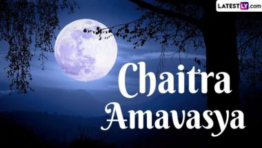 Chaitra Amavasya 2024: অমাবস্যাকে কেন বলা হয় কালো রাত? জেনে নিন, এই দিনে কোন কোন বিষয়ে সতর্ক থাকা উচিত...