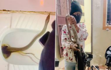 Snake in The Toilet: বাথরুমের কমোড থেকে বের হল ১০ ফুট লম্বা সাপ, দেখুন ভিডিয়ো