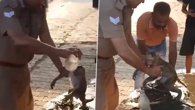 UP Viral Video: প্রচণ্ড গরমে অজ্ঞান হয়ে গেল বানরের বাচ্চা, প্রাণ বাঁচালেন পুলিশ কনস্টেবল, দেখুন ভিডিও