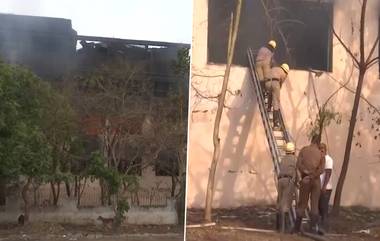 Haryana Fire: মানেসারে ফের কাপড়ের গুদামে অগ্নিকাণ্ড! ঘটনাস্থলে দমকলের ৫০টি ইঞ্জিন