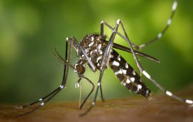 West Nile Virus: কেরলে ১০ জন 'ওয়েস্ট নীল ভাইরাস'এ আক্রান্ত, কী এই রোগ? কীভাবে ছড়ায়? উপসর্গই বা কী? জানুন সমস্ত কিছু