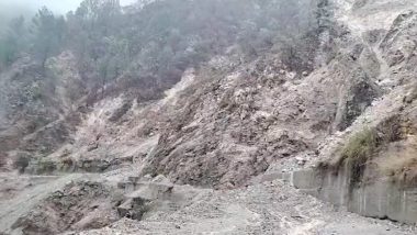 Heavy Rains in Srinagar: টানা বৃষ্টির কারণে বন্ধ বদ্রীনাথ-ঋষিকেশ হাইওয়ে! আটকে বহু পর্যটক