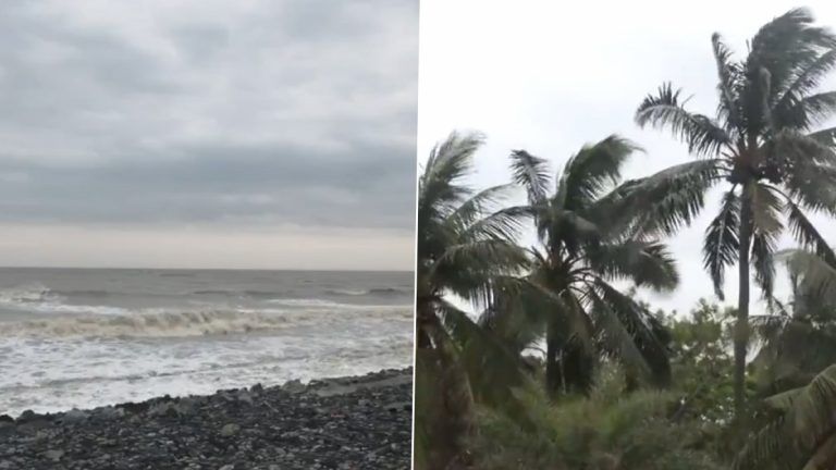 Cyclone Remal: রেমাল আছড়ে পড়তেই তাজপুরেও উত্তাল সমুদ্র, সন্দেশখালিতে গাছ কেটে জনজীবন স্বাভাবিক করার প্রচেষ্টা NDRF-এর