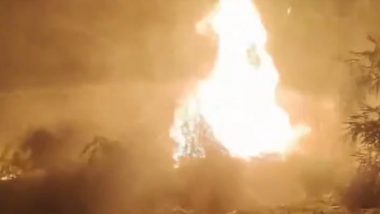 Gujarat Fire:  নাভসারির বিশ্ববিদ্যালয় নার্সারিতে হঠাৎই আগুন, দমকলের প্রচেষ্টায় আগুন নিয়ন্ত্রণে (দেখুন ভিডিও)
