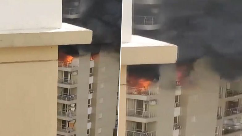 Uttar Pradesh Fire: নয়ডার সেক্টর ১১০ এর লোটাস বুলেভার্ড সোসাইটিতে আচমকা আগুন (দেখুন ভিডিও)