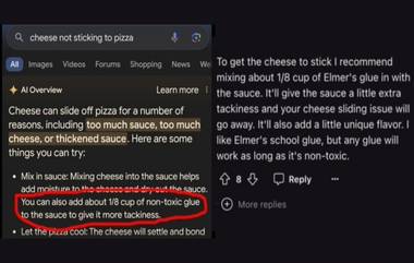 Google AI Suggestions: পিজ্জাতে লেগে যাচ্ছে না পনির! সসে আঠা যুক্ত করার পরামর্শ দিল Google AI, ভাইরাল টুইট