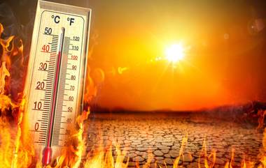 Heatwave Alert: দিল্লি-মধ্যপ্রদেশ সহ উত্তরের রাজ্যগুলিতে আগামী ৫দিন তীব্র তাপপ্রবাহ, সতর্কতা জারি করে জানাল মৌসম ভবন (দেখুন ভিডিও)