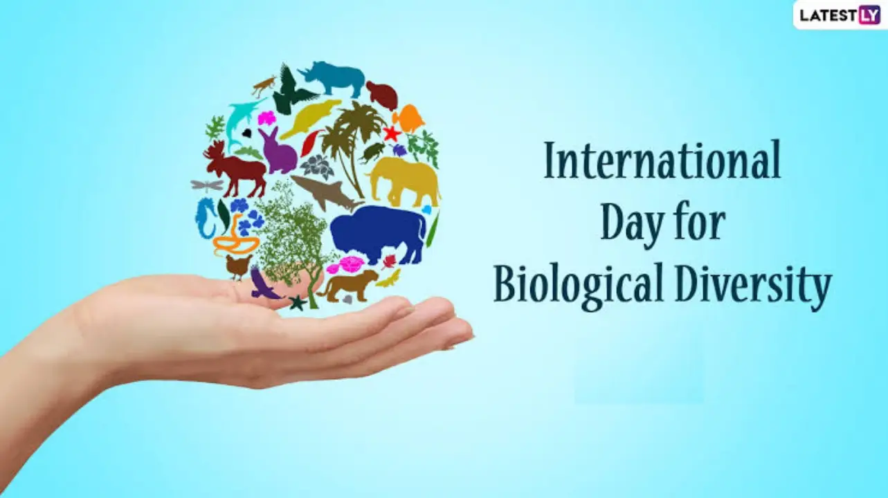 International Biodiversity Day 2024: জীববৈচিত্র্যের গুরুত্ব বোঝাতে পালিত হয় ইন্টারন্যাশনাল ডে ফর বায়োলজিক্যাল ডাইভার্সিটি, জেনে নিন এই দিনের ইতিহাস...