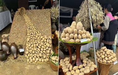 Potato Price Decrease: আলুর দাম নিয়ন্ত্রণে রাজ্য সরকারের নির্দেশিকা, ২৬ টাকা কেজি দরে আলু পাইকারি বাজারে