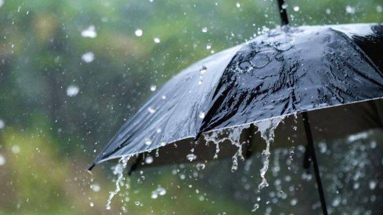 Kerala Rain Update: কেরালায় ভারী বৃষ্টিপাতের পূর্বাভাস,কমলা ও হলুদ সতর্কতা জারি বিভিন্ন জেলায়