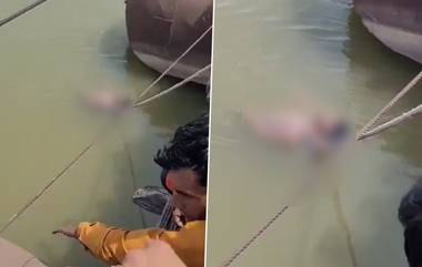 Viral Video: সাপের কামড় খাওয়া যুবককে গঙ্গার জলে ডুবিয়ে বেধে রাখল পরিবার, দেখুন