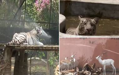 Delhi Heatwave: গরমে পুড়ছে দিল্লি, তাপপ্রবাহ থেকে রক্ষা পেতে রাজধানীর চিড়িয়াখানায় অভিনব উদ্যোগ, দেখুন ভিডিয়ো