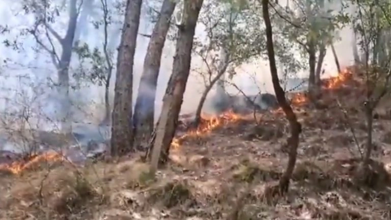 Fire: তিনদিন ধরে জ্বলছে কাশ্মীরের বনাঞ্চল, দেখুন সেই ভিডিয়া