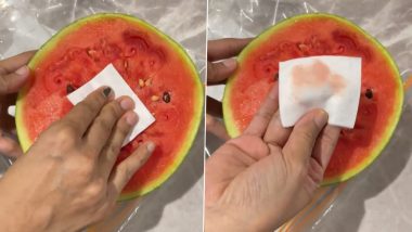How To Check Adulteration in Watermelon: লাল টুকটুকে তরমুজ দেখেই কিনে নিচ্ছেন, সাংঘাতিক ভুল! এক মিনিটের পরীক্ষায় ভেজাল তরমুজ চিনুন