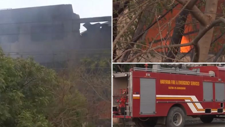 Gurugram Fire: গুরুগ্রামে কাপড় তৈরির কারখানায় বিধ্বংসী  আগুন! দমকলের চেষ্টায় পরিস্থিতি  নিয়ন্ত্রণে