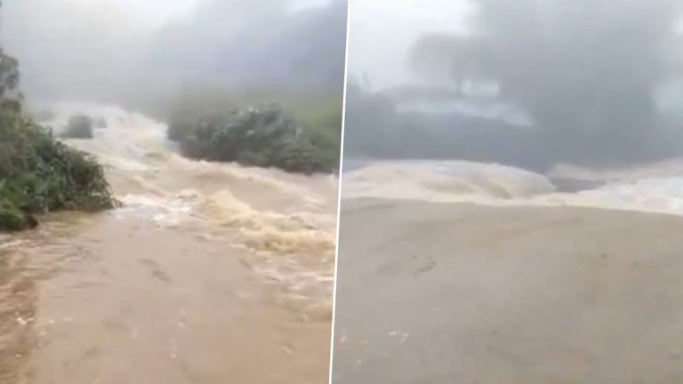 Tamil Nadu Rain: ঘূর্ণিঝড়ে বিধ্বস্ত তামিলনাড়ু, ভারী বৃষ্টিপাতের জেরে কোদাইকানালের পাহাড়ি অঞ্চলে আকস্মিক বন্যা