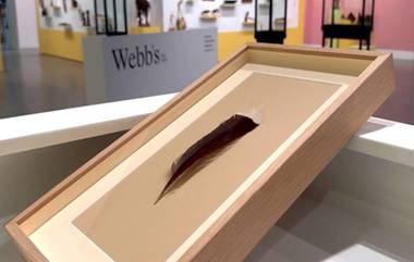 World's Most Expensive Feather: দেখুন,  নিলামে বিক্রি হল বিশ্বের সবচেয়ে দামি পালক