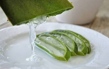 Aloe Vera Juice: ত্বক থেকে হৃদয় সবকিছুর জন্য উপকারী অ্যালোভেরার শরবত, জেনে নিন অ্যালোভেরা শরবতের উপকারিতা...