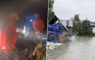 Cyclone Remal Updates: রেমালের তাণ্ডবে কলকাতায় মৃত্যু যুবকের, জলমগ্ন শহর, বাড়িঘর ভেঙে তছনছ সুন্দরবন