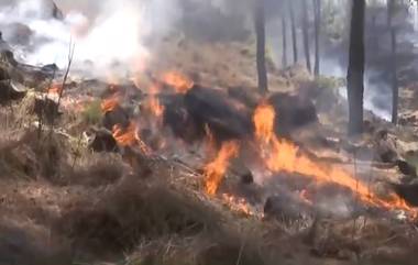 Jammu & Kashmir: জম্মু-কাশ্মীরের জঙ্গলে অনেকে ইচ্ছাকৃতভাবে আগুন লাগাচ্ছে! দাবি রাজৌরির বন সংরক্ষক বিভাগের আধিকারিকের